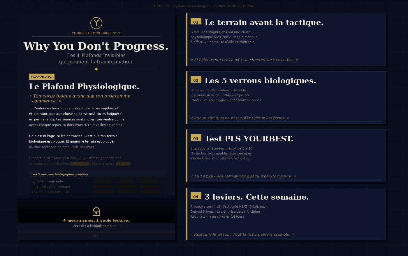 Aperçu Why You Don't Progress™